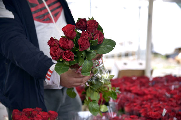 У Београду богата понуда цвећа, али мало производимо: Увоз 10 милиона евра, а извозимо за око 1,5 милион